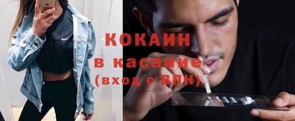 сатива Горняк