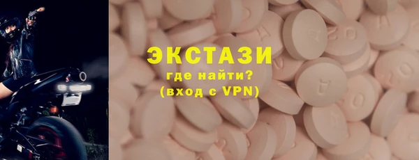 гидра Гусев