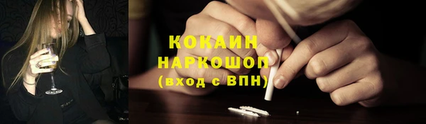 мяу мяу мука Гусь-Хрустальный