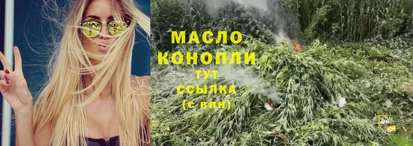сатива Горняк