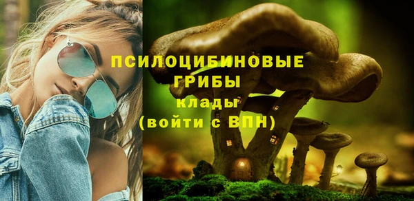 сатива Горняк