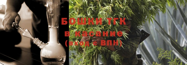 гидра Гусев