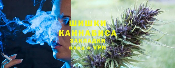 гидра Гусев