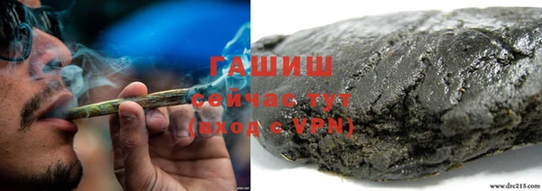 сатива Горняк